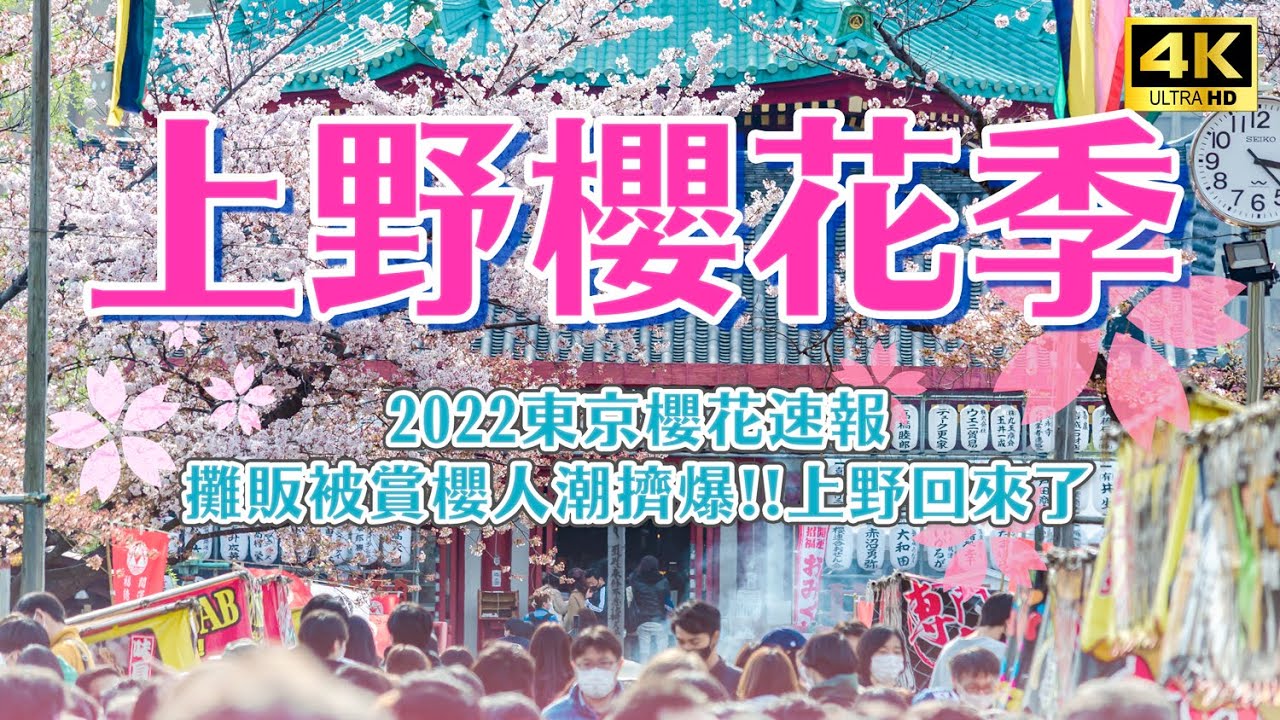 Ueno 4K Cherry Blossom Walk ｜ Однодневные места для любования цветущей сакурой в Токио, Япония VLOG