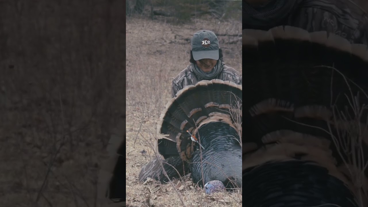 My Nebraska turkey hunt as told by content