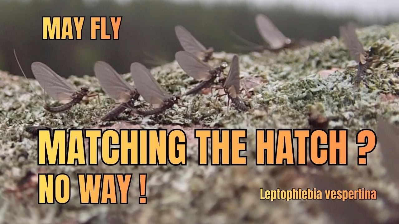 Match the hatch? No way!