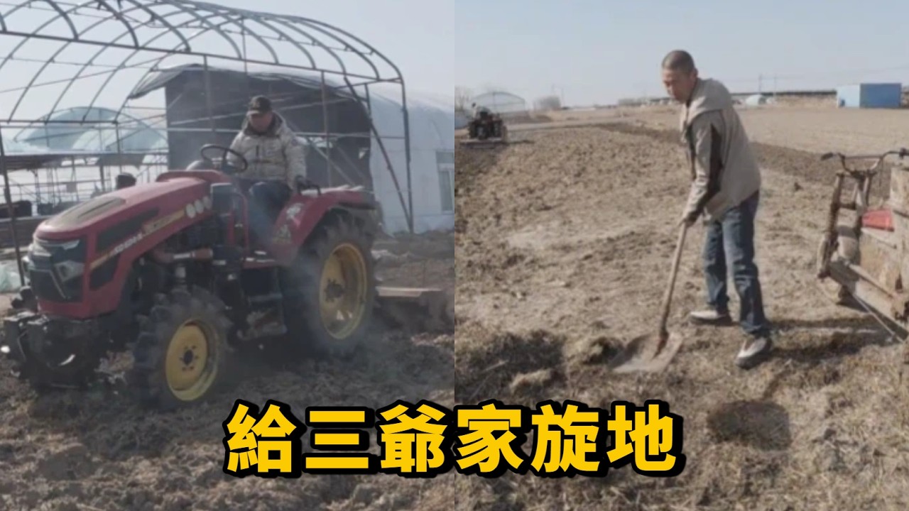 大叔來給三爺家旋地，雙雙找肉晚上吃火鍋，村里幫忙的人都來啦 #farming #cow #生活 #日常 #養殖