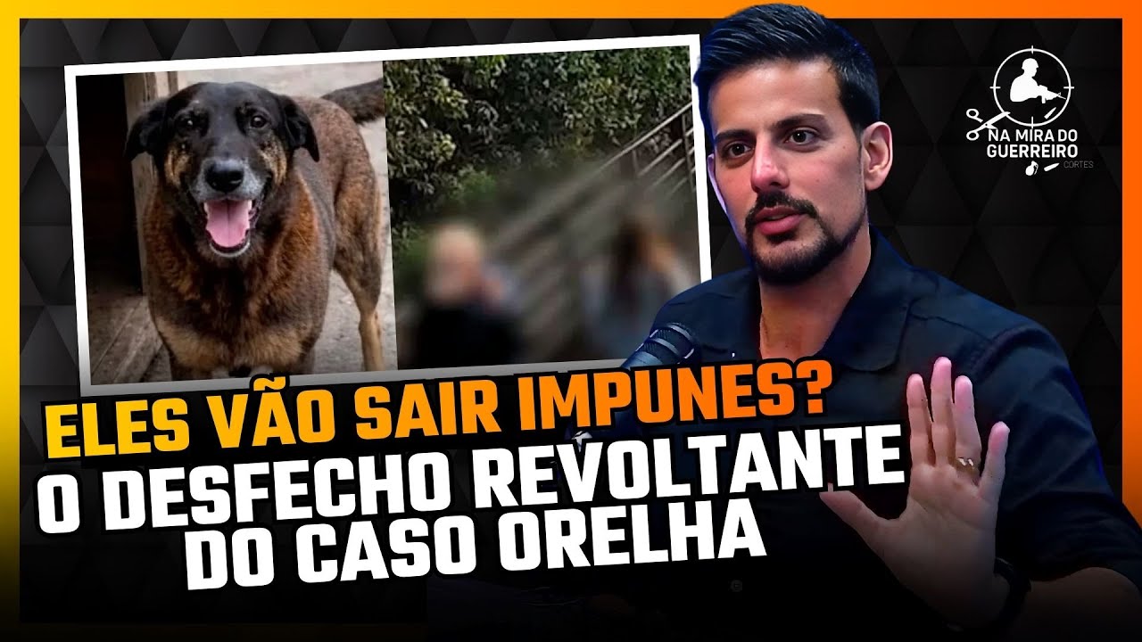 Delegado abre o jogo e explica se agressores do cão orelha serão punidos pela lei | #cortes