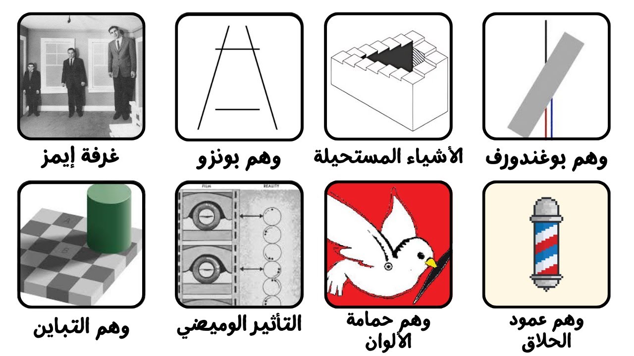 كل الأوهام البصرية في 11 دقيقة
