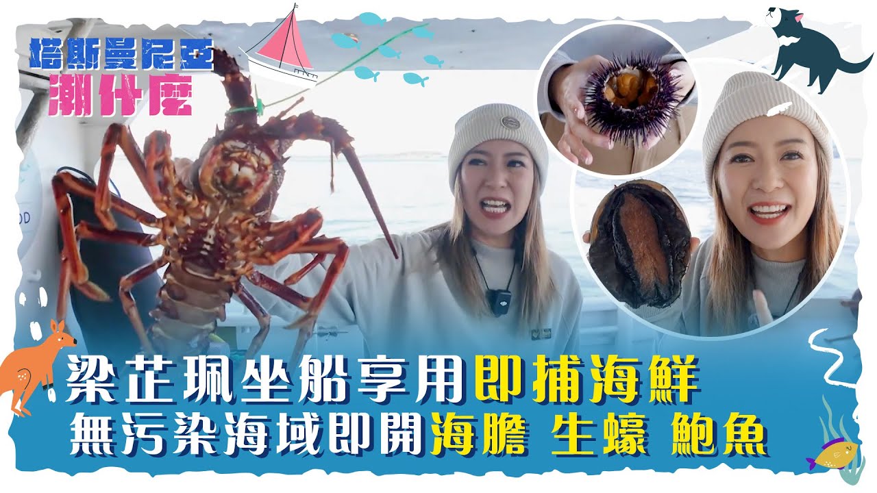 塔斯曼尼亞潮什麼｜梁芷珮坐船享用即捕海鮮 無污染海域即開海膽 生蠔 鮑魚｜梁芷珮Christy｜旅遊 攻略 景點｜TVB綜藝
