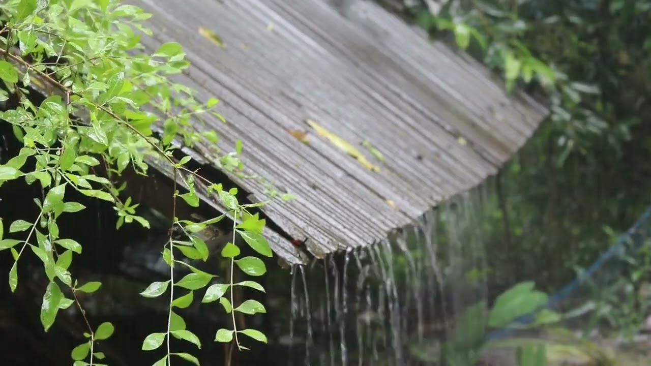 Geluid van Regen om te Slapen - Regengeluid omte Ontspannen, te Studeren - Meditatie - natuur geluid