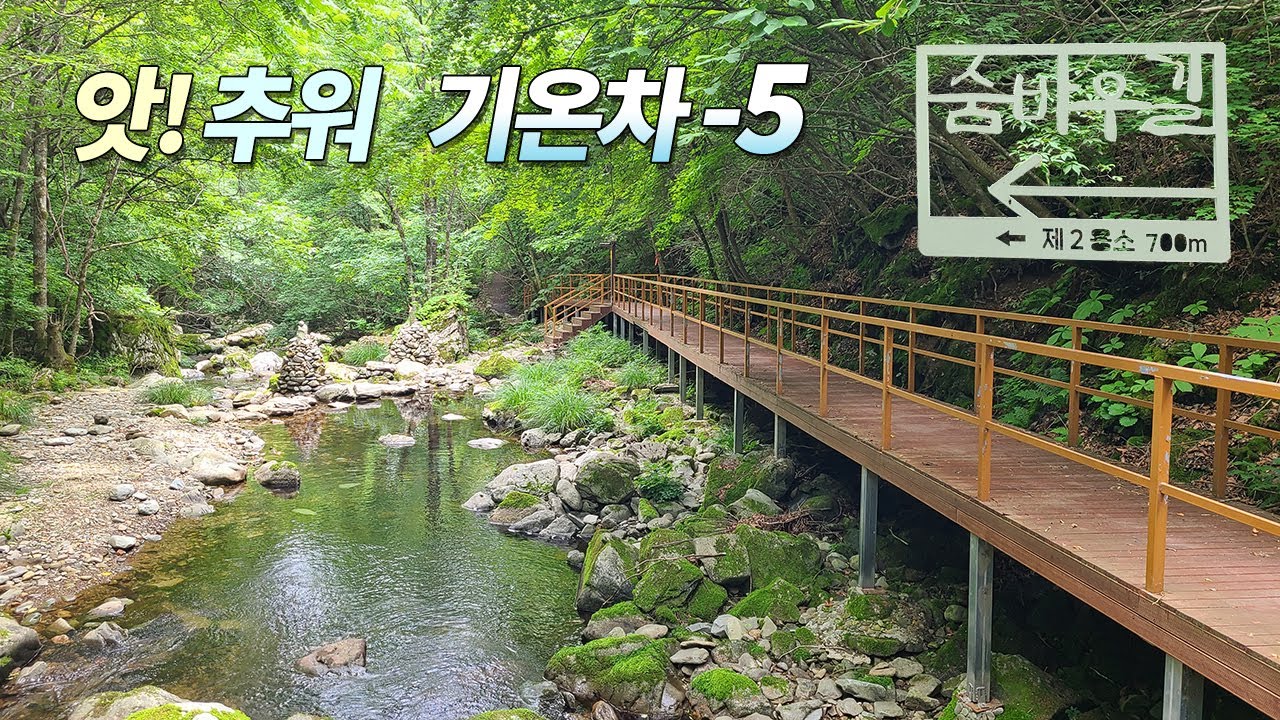 👀앗, 추워! 🌡한여름에도 5도 낮은 산림청 선정 명품숲 정선 항골숨바우길 왕복 6km 3시간 충분