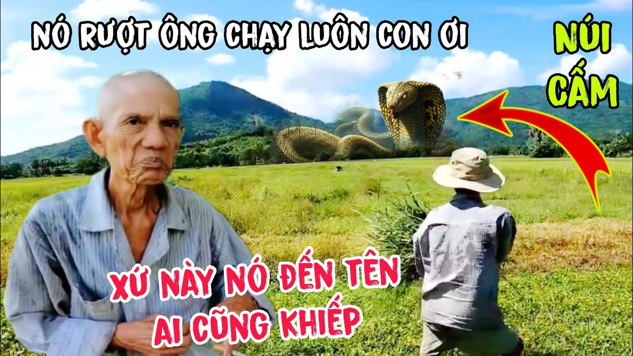 Truyền thuyết rắn hổ mây khổng lồ ôm trọn Núi Cấm qua lời cụ ông miền Tây