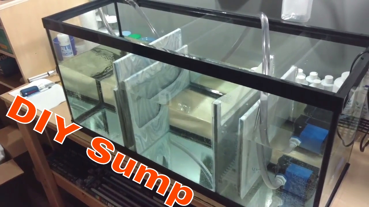 DIY Sump Reef Tank Upgrade