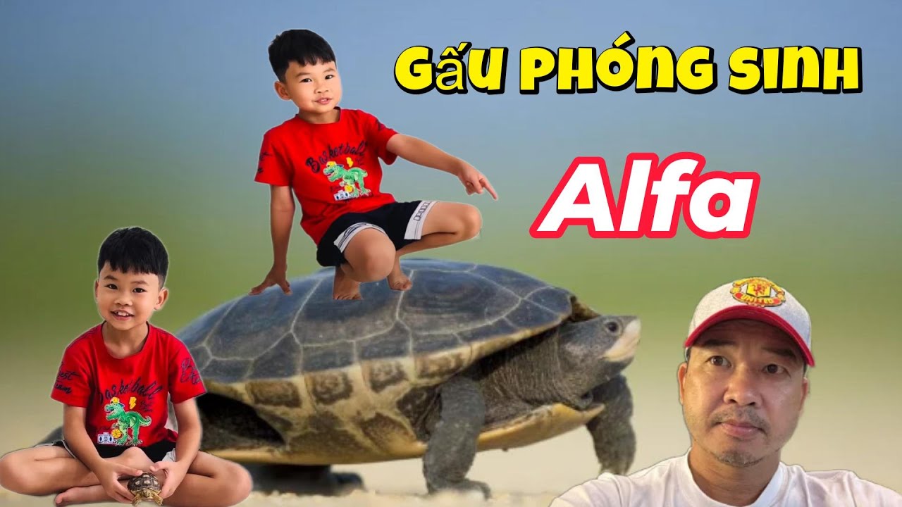 Ba B&aacute;u Ph&oacute;ng sinh  Alfa C&ugrave;ng Gấu #doanvanbau #gauvaba #shortvideo #duet #kapy