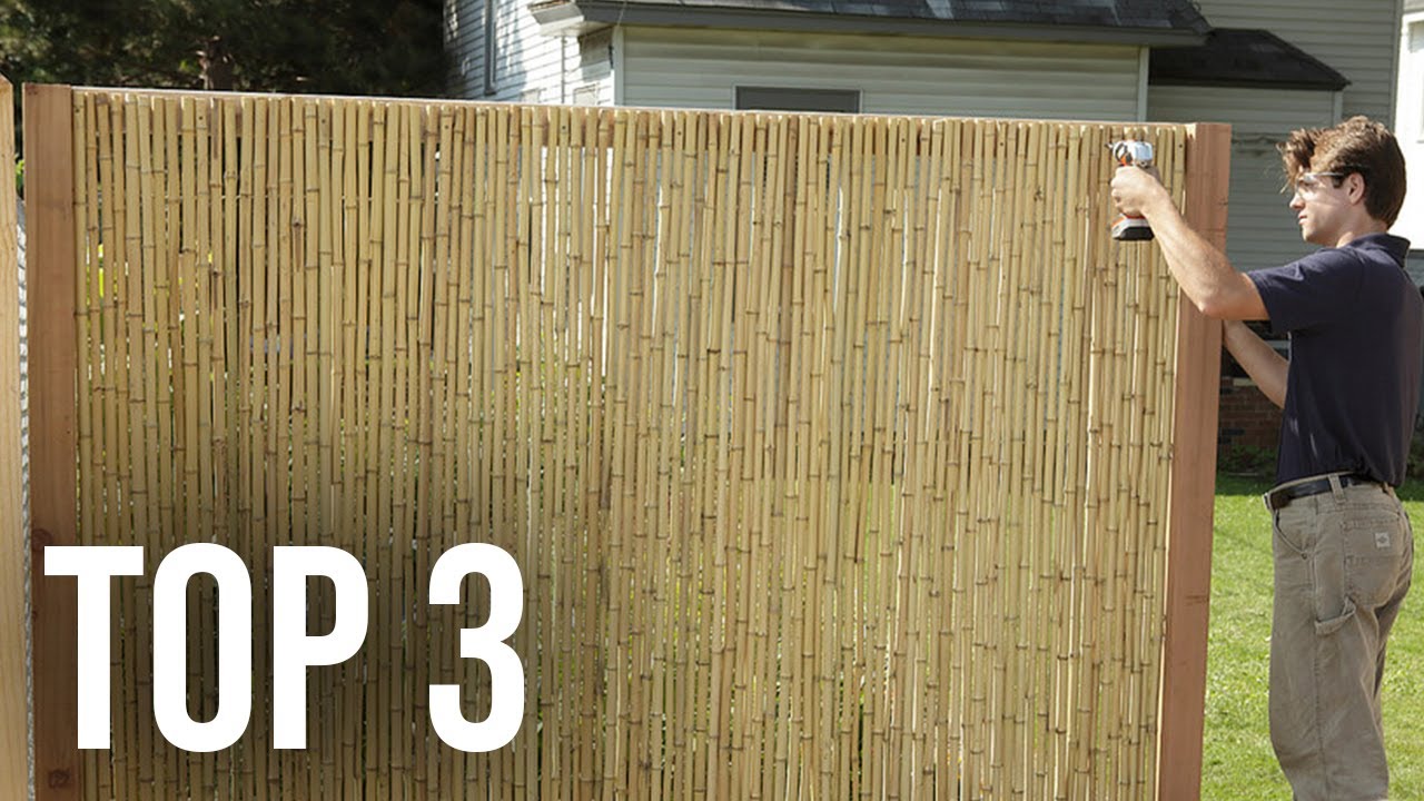 TOP 3 : Meilleur Brise Vue 2023