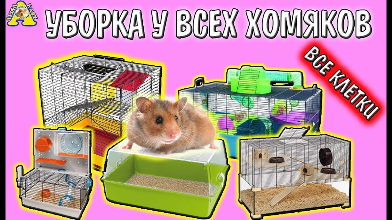 ВСЕ КЛЕТКИ МОИХ ХОМЯКОВ / УБОРКА у ВСЕХ ХОМЯКОВ / Cleaning hamster's cages / Алиса Изи