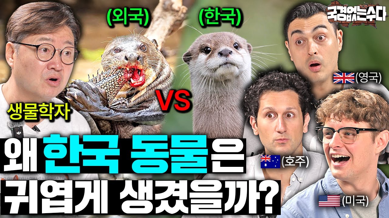 사라졌던 멸종 위기 동물들이 다시 서울 한복판에 등장한 이유?ㅣ국경없는 수다 EP.84