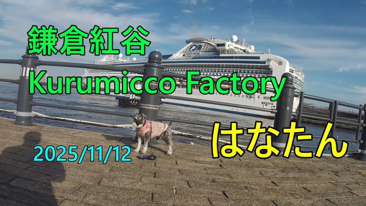 横浜 鎌倉紅谷 Kurumicco Factory(ハンマーヘッド内)