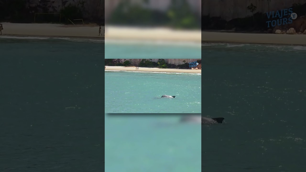 Las 10 mejores playas de Brasil Parte 5