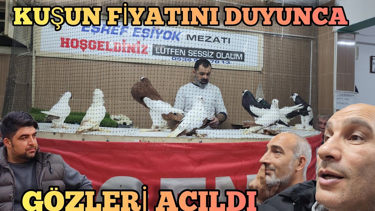 Ekipce Güvercin İhalesine  Gittik Bakalım Nasıl Kuşlar Var Kaç Paralar