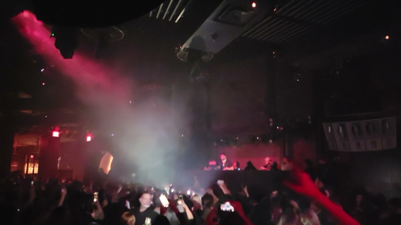 DJ Pauly D  was on point