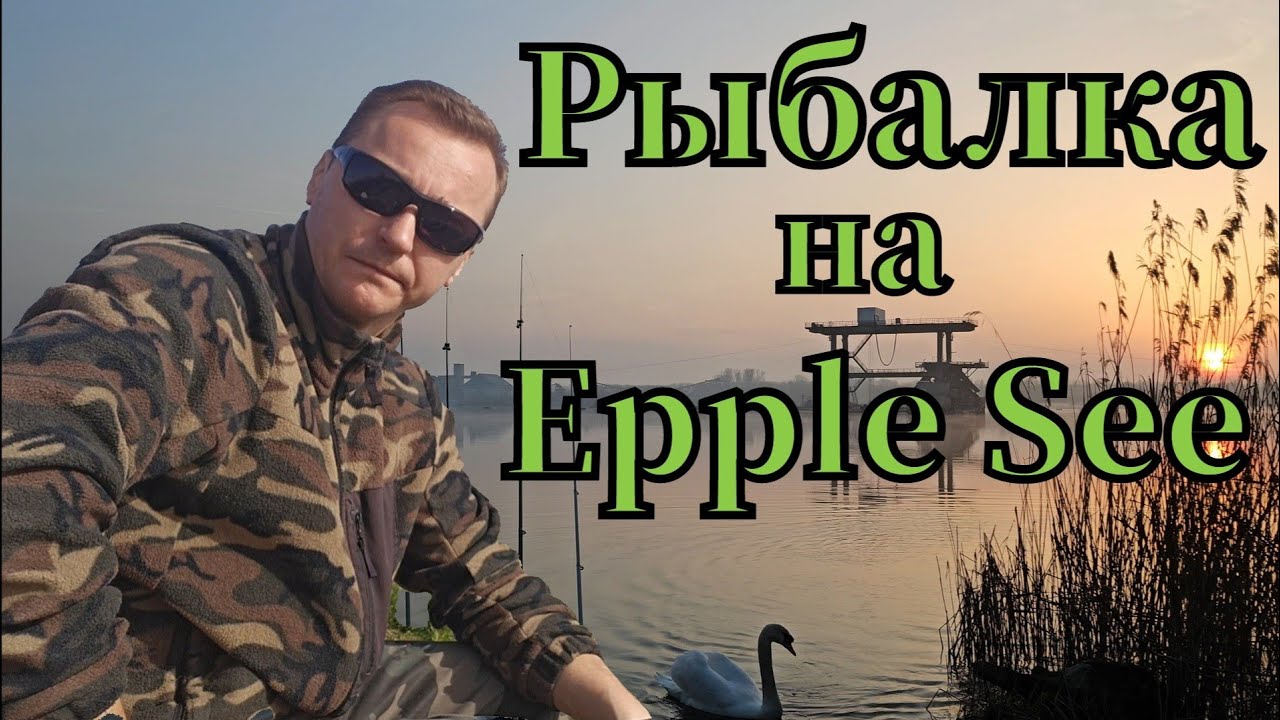 Рыбалка 🎣 на Epple See клюнула плотва на опарыш #рыбалка #angeln #fishing #pêche #pesca #see #плотва