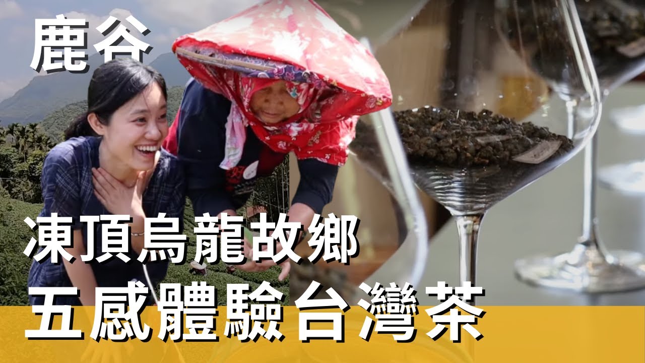 深入凍頂烏龍茶的故鄉，吃鹿谷茶香大餐，被茶香環繞的一天！ft. 芯茶濃