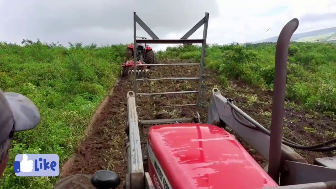 MOSTRANDO O TRATOR ARANDO TERRA