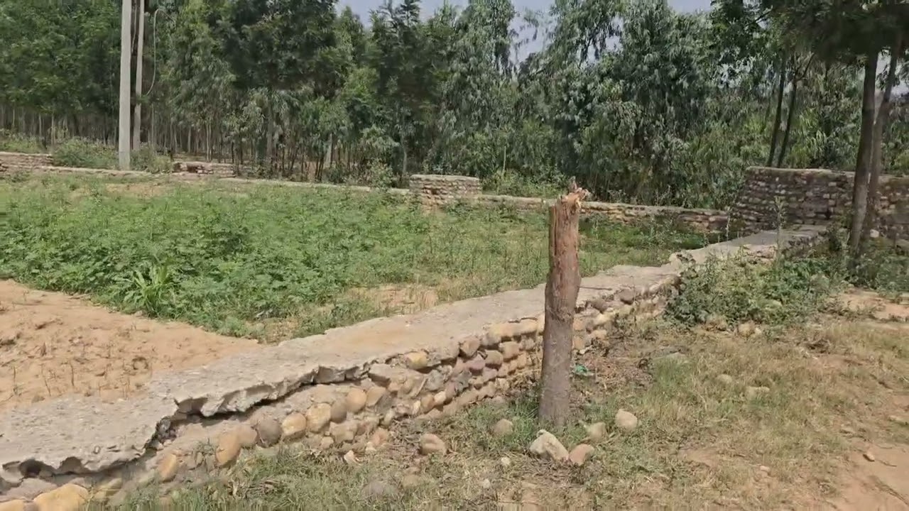 50 Acre land with 2 tubewell connection with plants for sale in Hoshiarpur punjab 9316167007