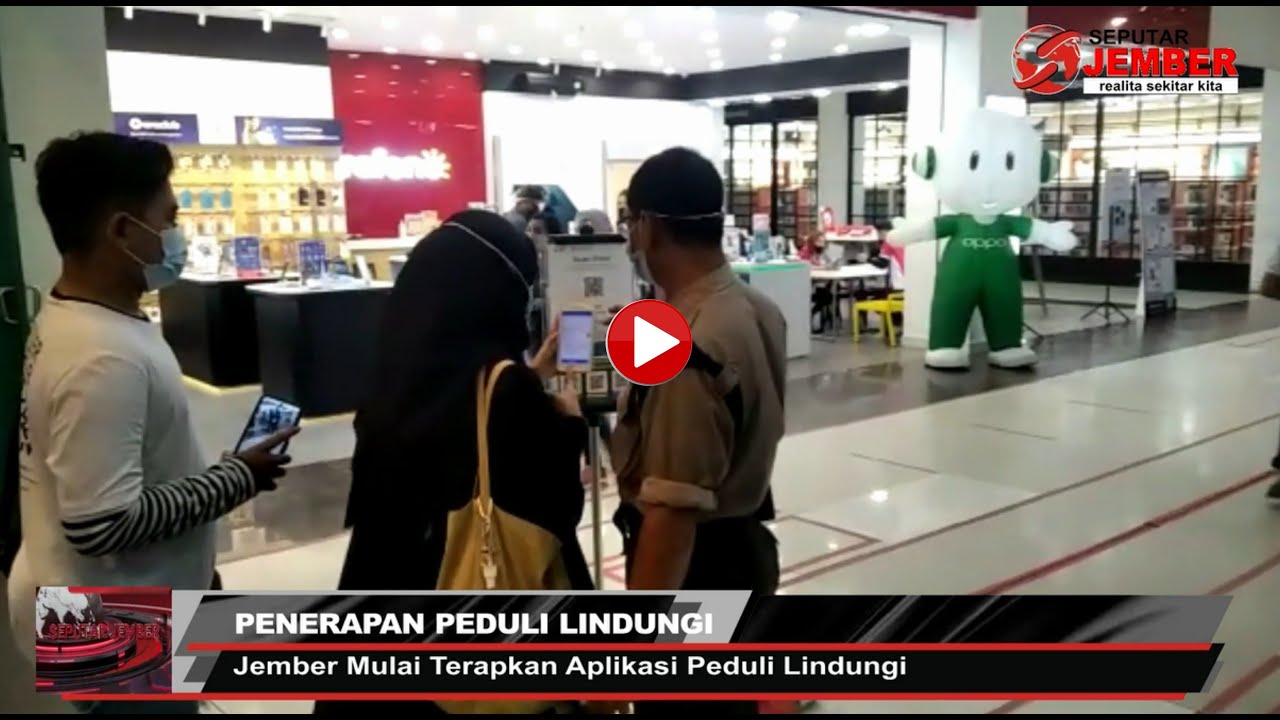 PENERAPAN APLIKASI PEDULI LINDUNGI DIJEMBER - SEPUTAR JEMBER