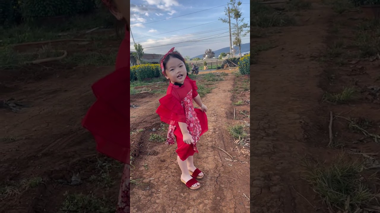 Bối Đi Thăm Vườn Hoa Cúc Vàng 🌼 Cute Baby Girl Visits Chrysanthemum Garden