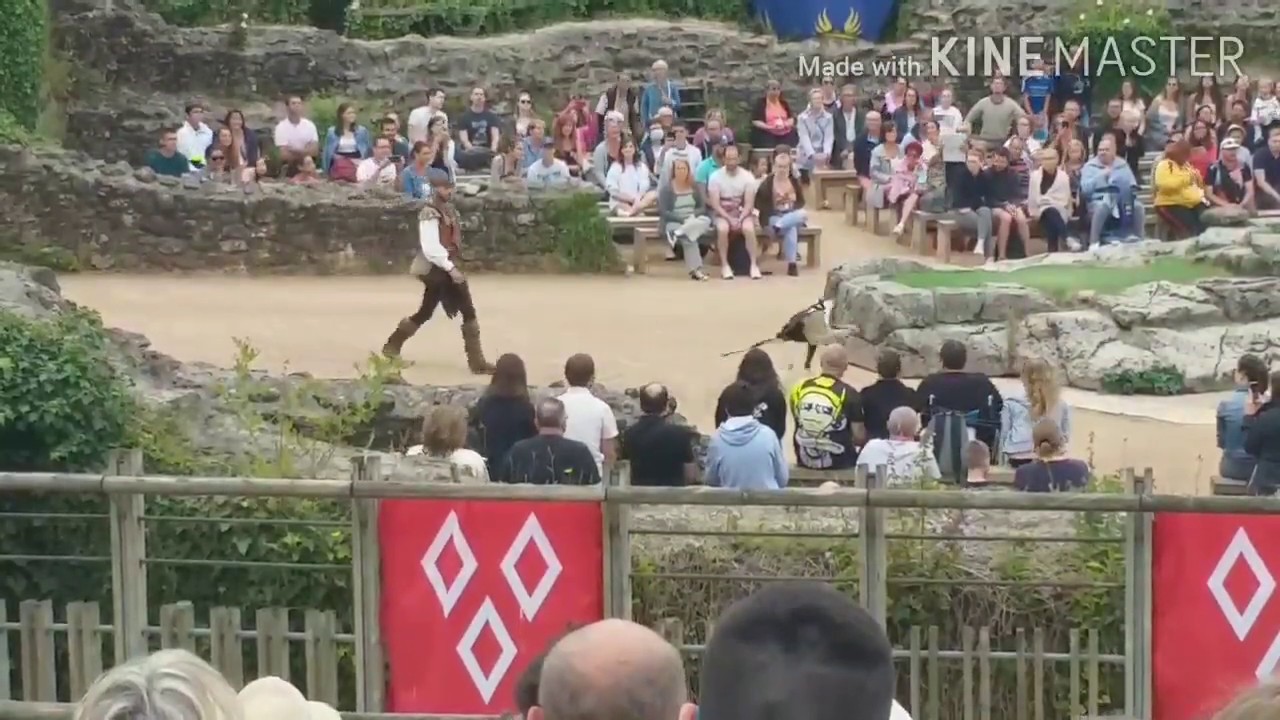 Le bal des oiseaux fantômes ( Puy Du Fou )