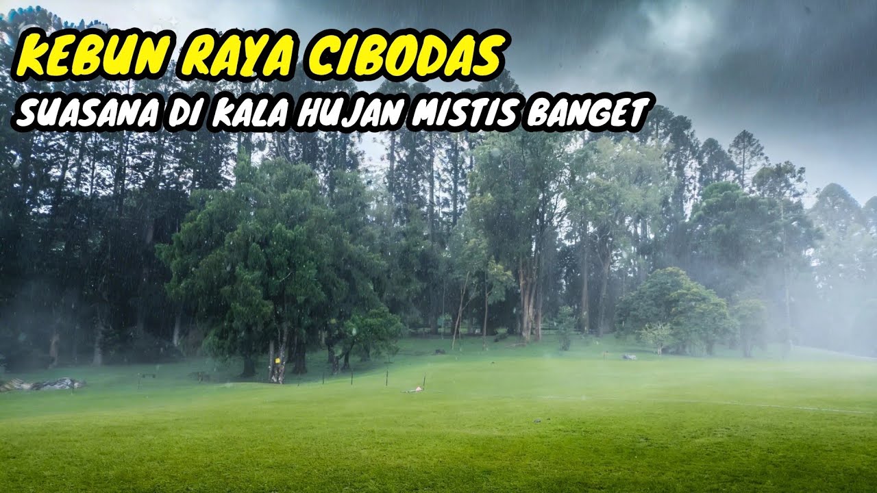 Asli Dingin Banget! Serunya Main di Kebun Raya Cibodas