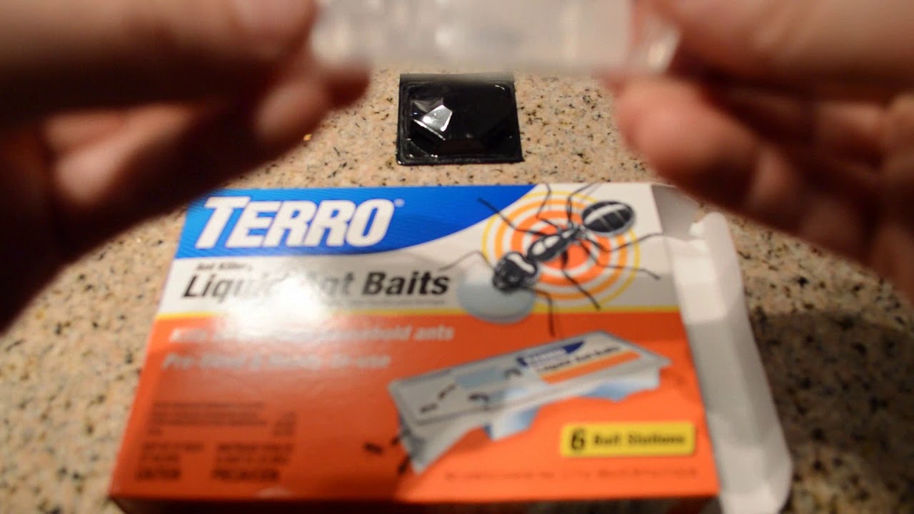 Terro Liquid Ant Killer Baits - Review - AWESOME TRAPS
