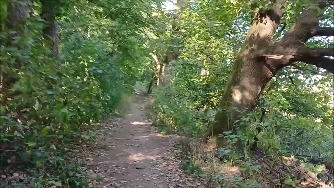 Spaziergang in Hildesheim ab Meine Kupferschmiede zur Andreas Passage Bohlweg