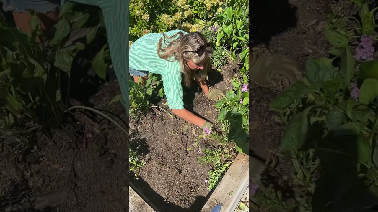 Fall is the best time to garden! Here&rsquo;s how to get started&hellip;#garden #fall #plants #seeds #gardening