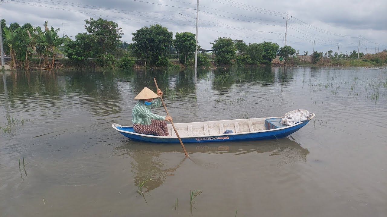 CÁNH ĐỒNG MÙA NƯỚC NỔI. 