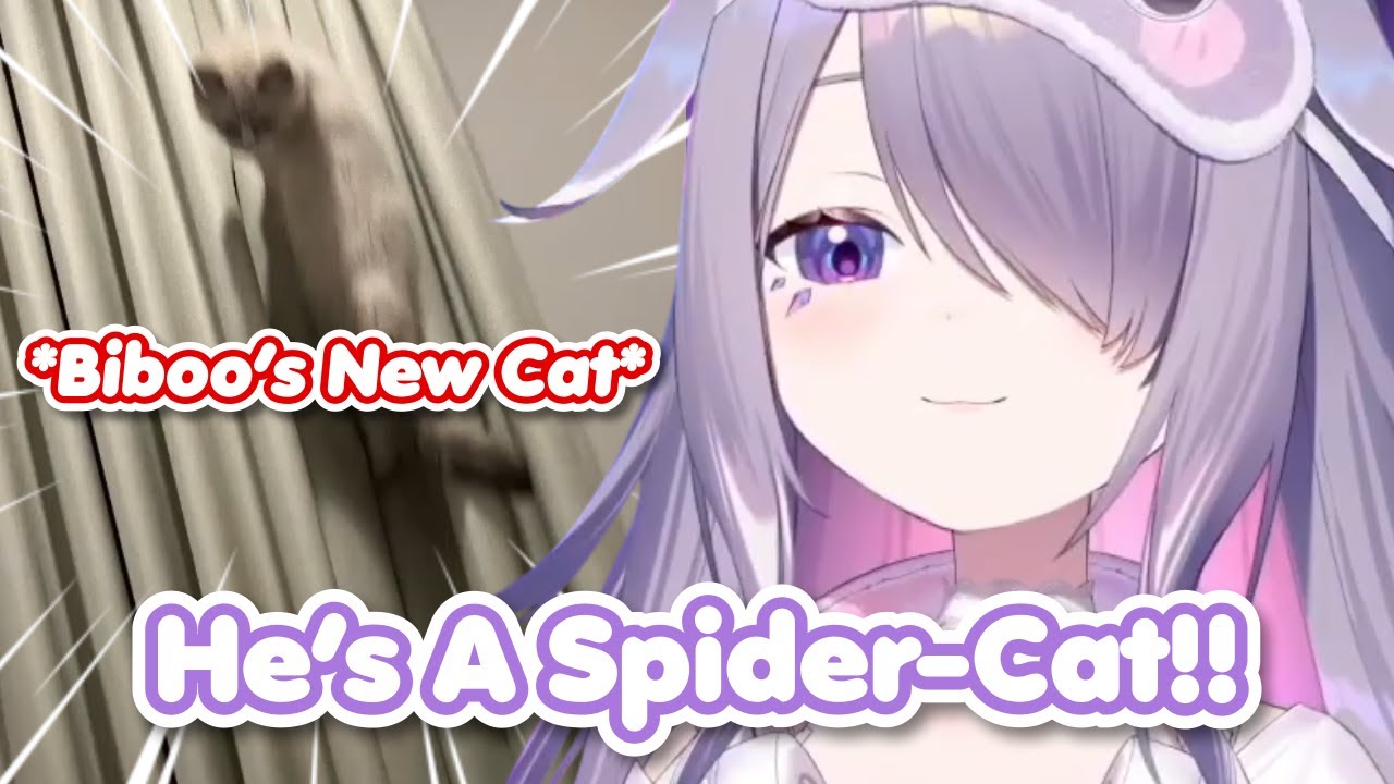 Biboo Shares a Picture Proving Cat Wick Is a Spider-Cat