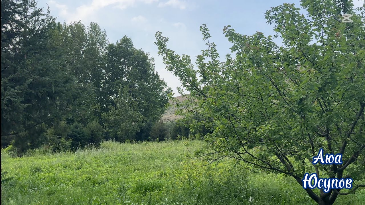 Фарғона вил.Қува Толмозор,Фарход Ва Ширин.2025 Апрель.Fargʻona vil.Quva Tolmozor, Farhod Va Shirin.