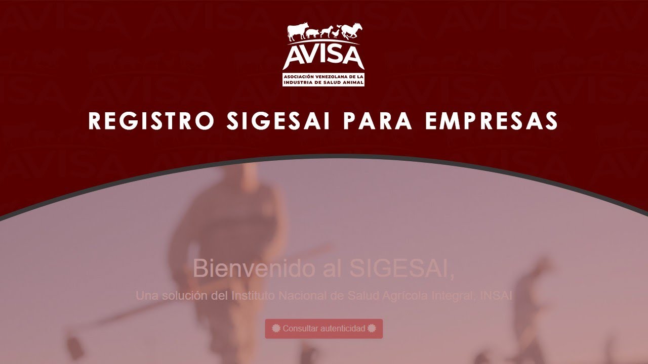 Registro SIGESAI empresas (paso a paso)