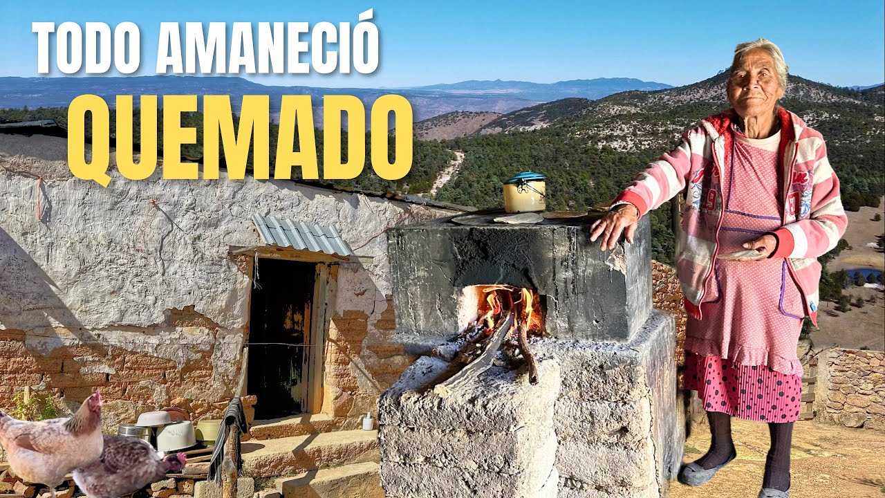 NOSOTROS NO TENEMOS PERO TAMBIEN COMEMOS