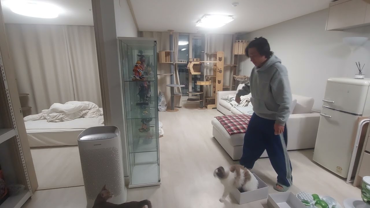 심코랜드 아주 훌륭해