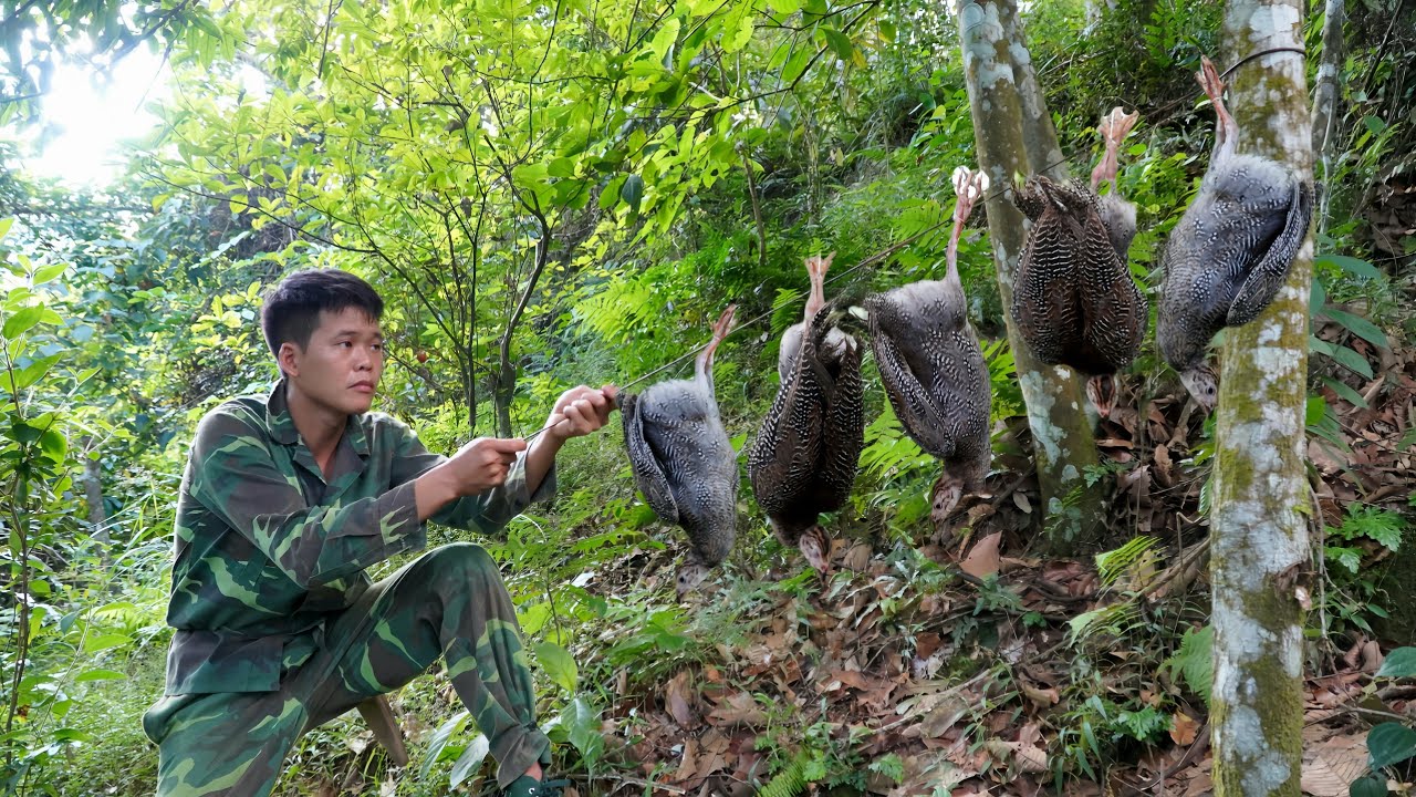 Survival in the wild, Detecting strange chicken footprints, how to set effective wild animal traps