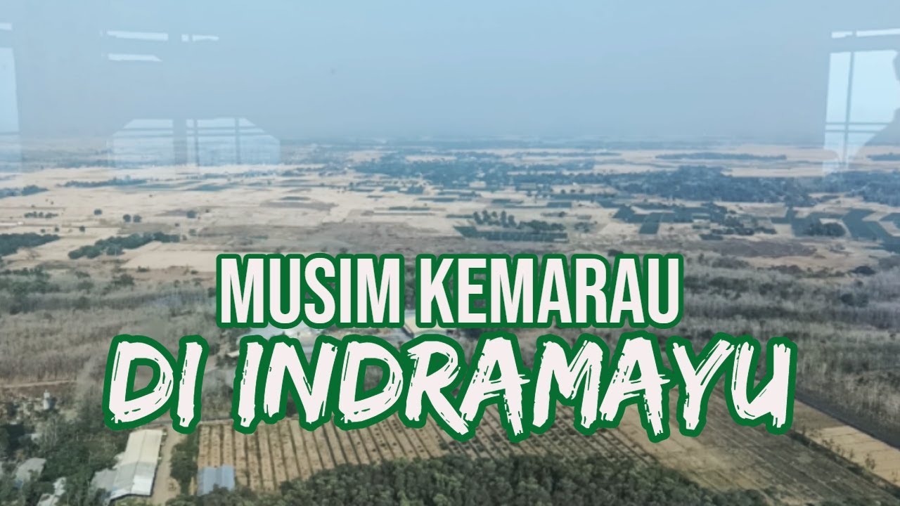 KEMARAU DI INDRAMAYU | DILIHAT DARI KETINGGIAN 201 M | MPP AL-ZAYTUN