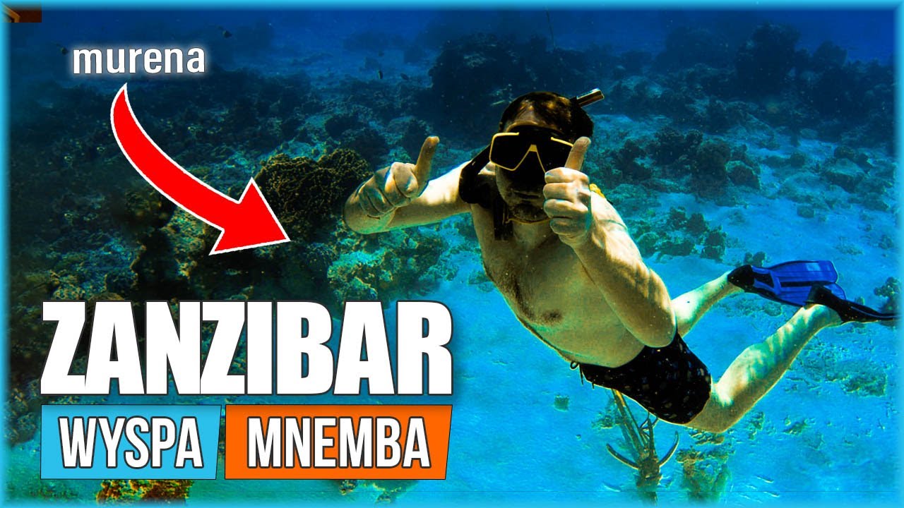 Zanzibar Wyspa Mnemba Niesamowita Wycieczka Wodna Snurkowanie na Rafie Koło Wyspy Bila Gatesa [vlog]