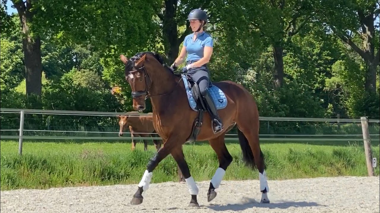 Eerste dressuurles met de 4-jarige Legendale