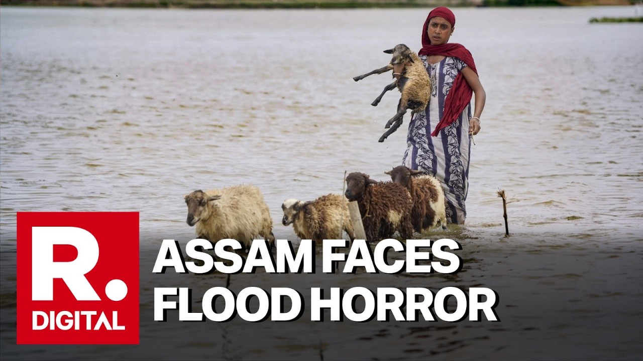 Assam Floods: Several Killed And Over 300,000 Affected Amid Rising Water Levels | Jorhat