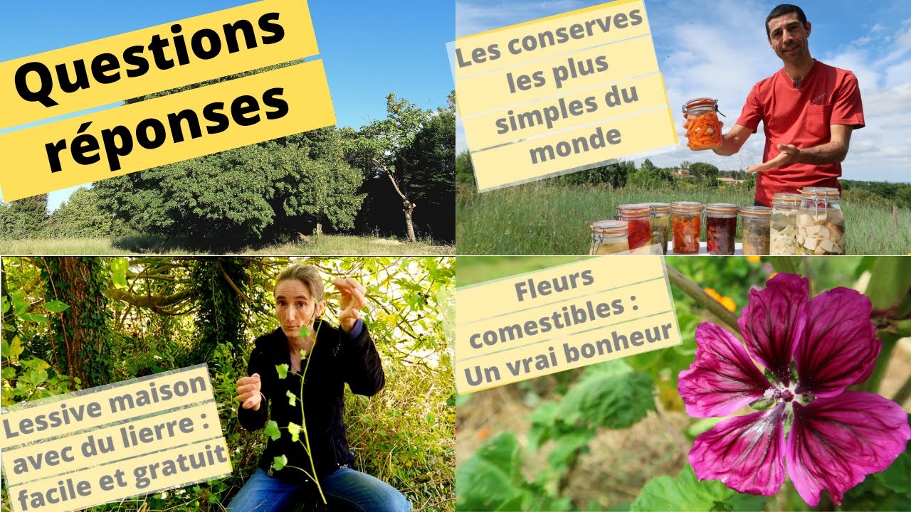 😀🍀 QUESTIONS – RÉPONSES 😀🍀
