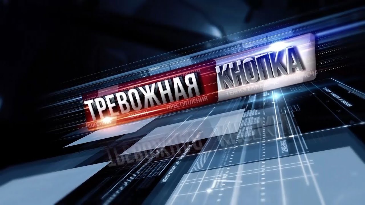 Тревожная кнопка 9 ноября