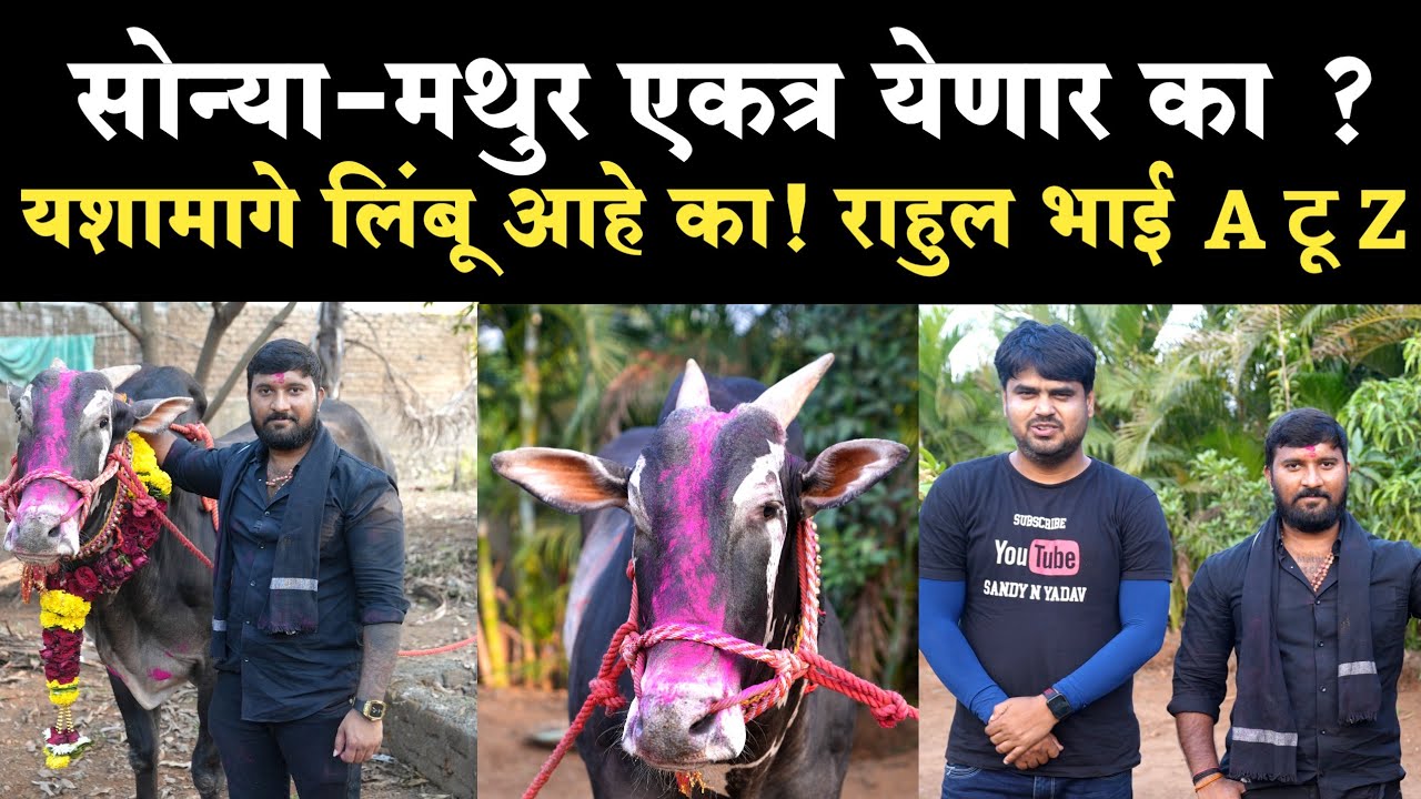 राहुल भाई पाटील यांची महामुलाखत | Rahul bhai patil 1001 mulakhat