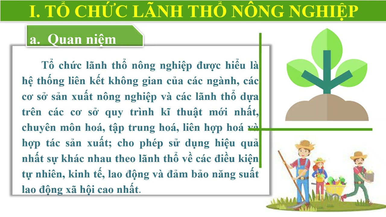 Bài 27. Tổ chức lãnh thổ NN, vấn đề phát triển NN hiện đại và định hướng phát triển NN - Địa 10