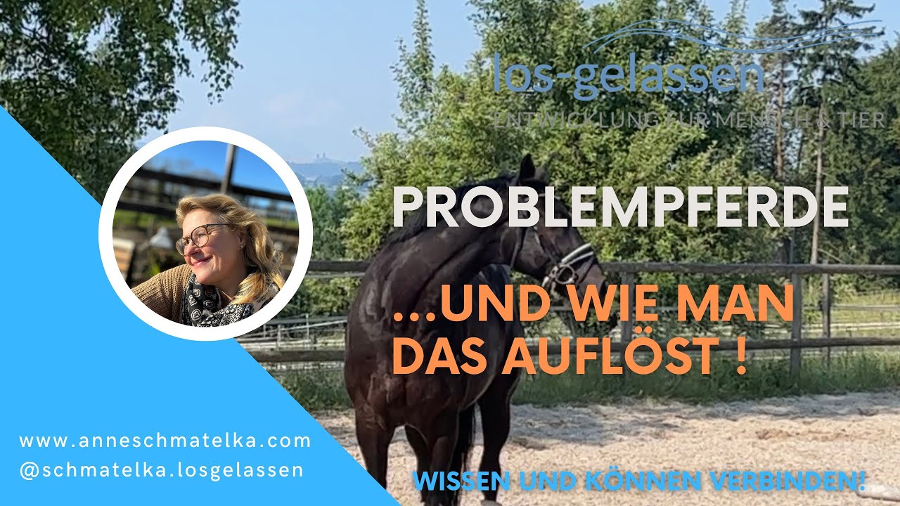 Problempferde | wie man Durchgehen in den Griff bekommen kann