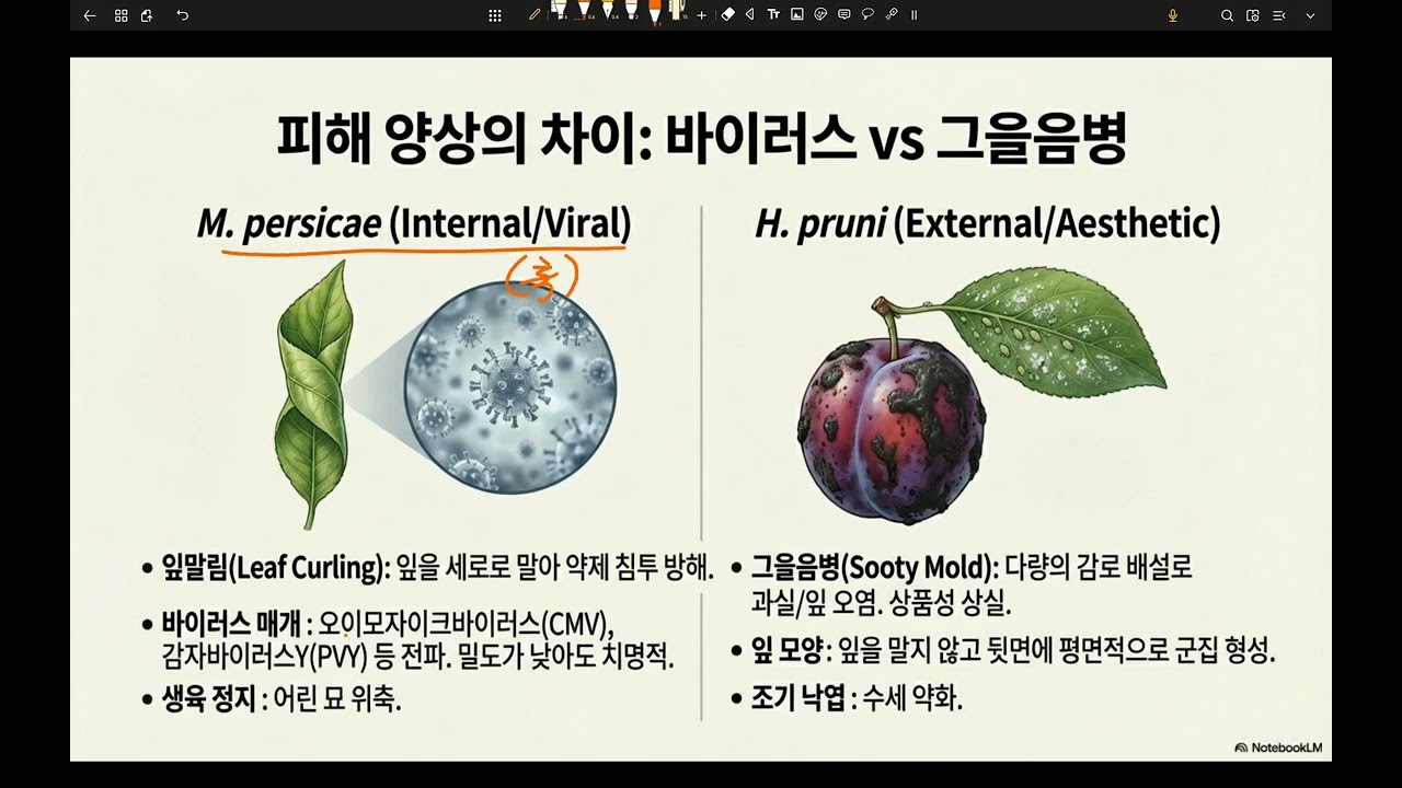 복숭아 가루진딧물, 복숭아 혹진딧물 차이