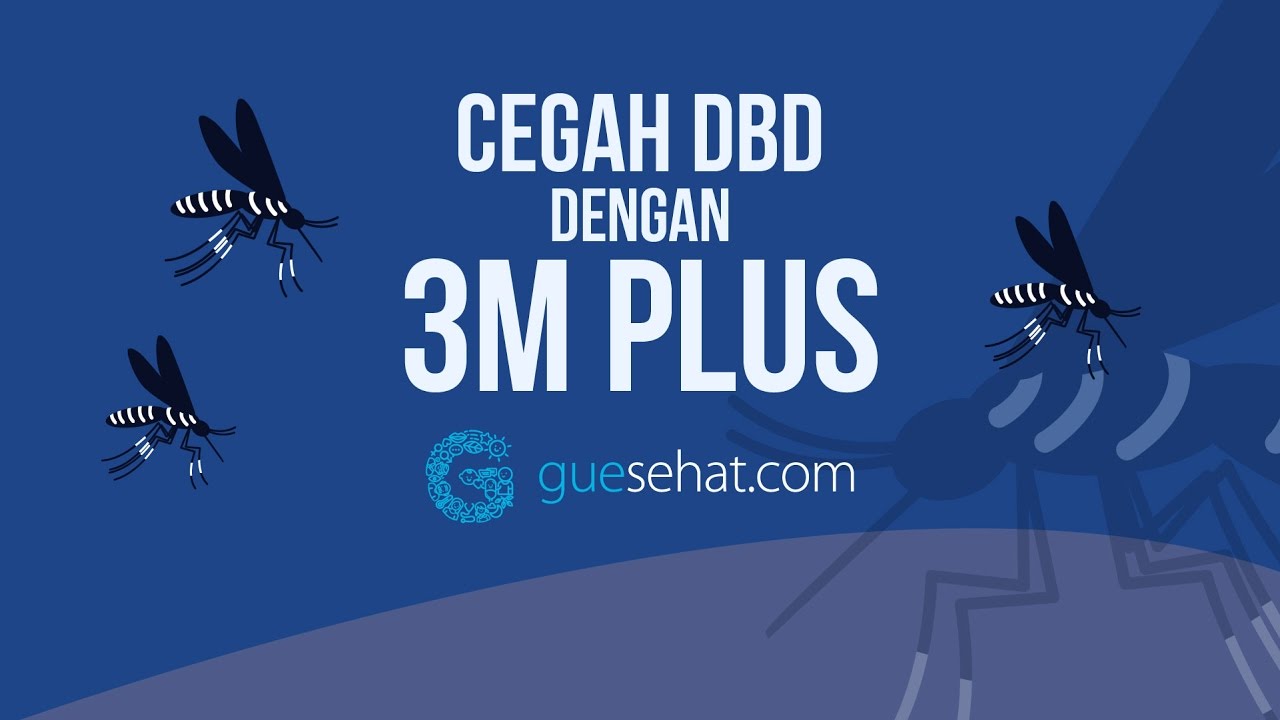 Cegah Deman Berdarah dengan 3M