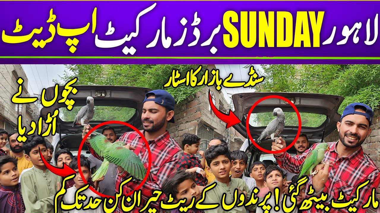 Lahore sunday bird market New update  #lahorientertainmentchannel #birds #birdsmarket #parrot #pets