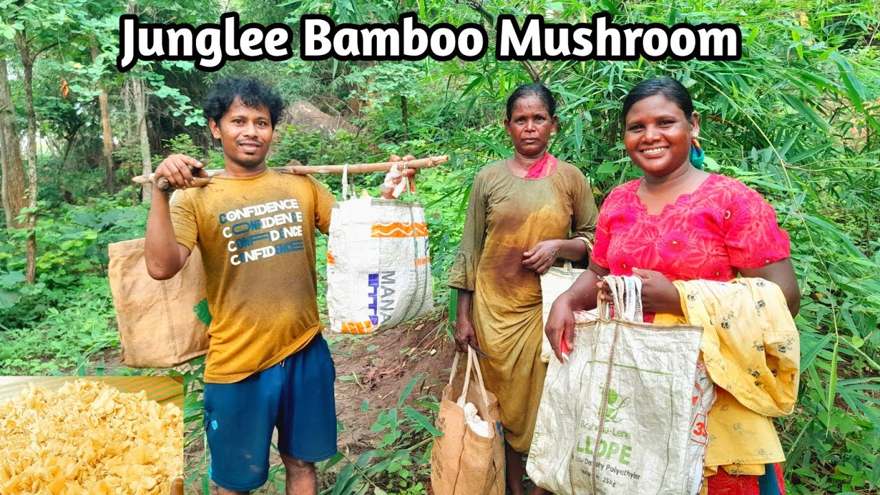 Junglee Bamboo Mushroom 30Kg | The next day we again found mushrooms in the forest.